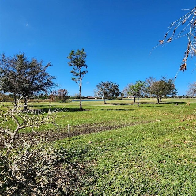 view of yard featuring a rural view