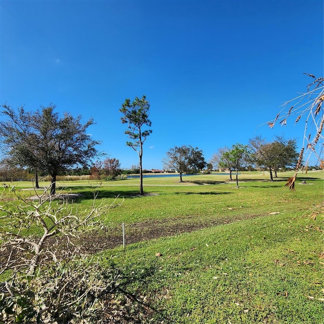 view of yard with a rural view