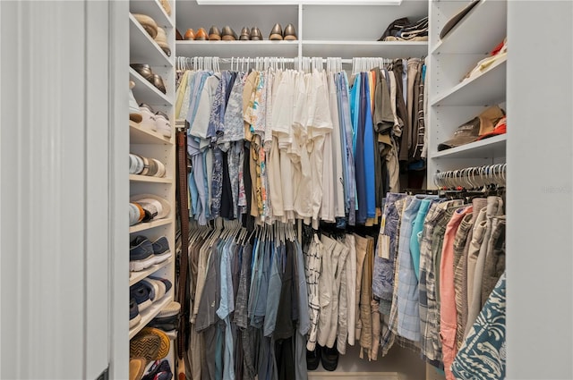 view of spacious closet