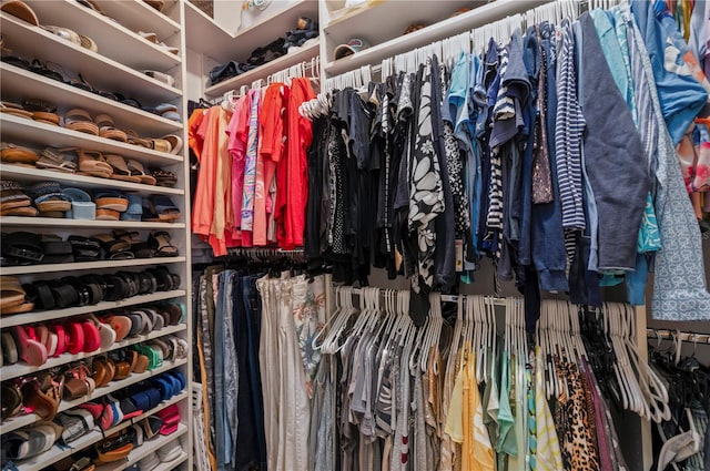 view of spacious closet