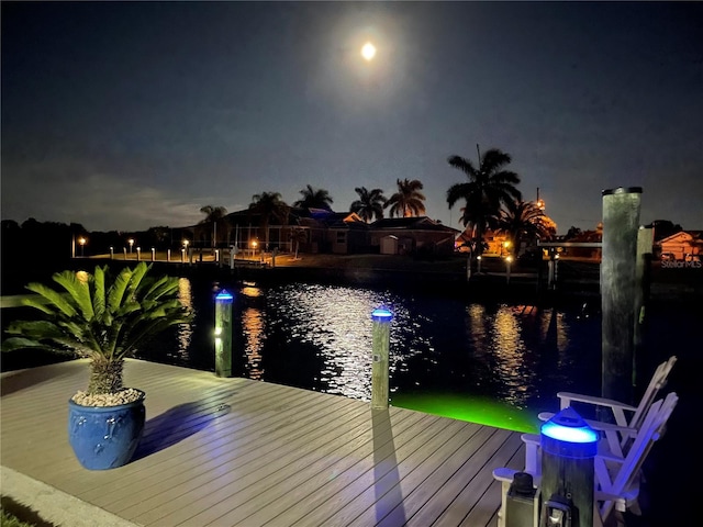 dock area with a water view