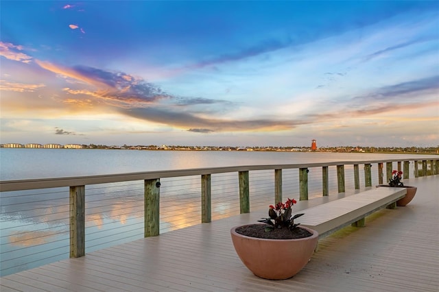 dock area with a water view