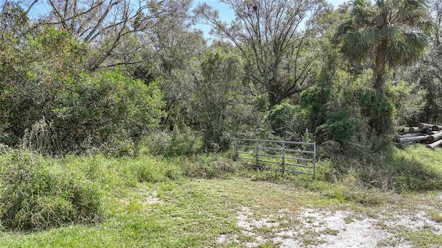 SW Bragdon Ave, Arcadia FL, 34266 land for sale