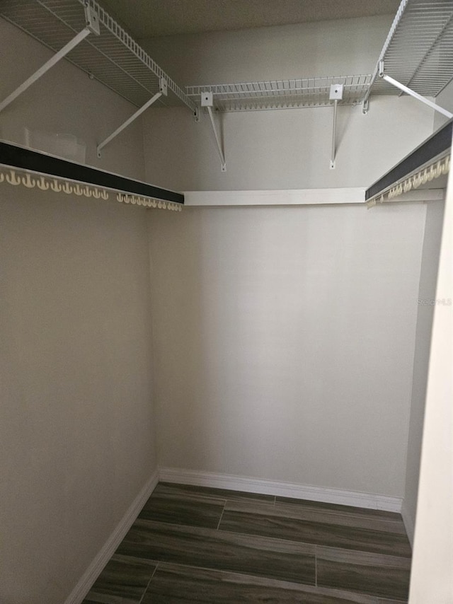 walk in closet featuring dark wood-style flooring