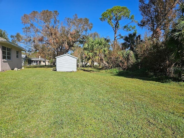 view of yard with a storage unit