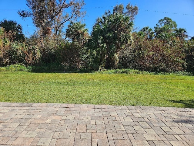 view of yard with a patio