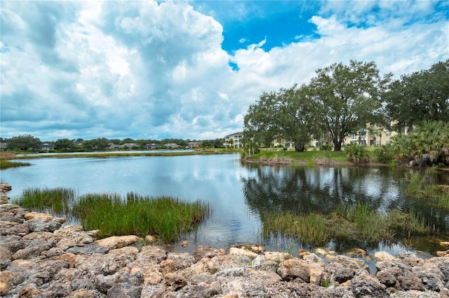 property view of water