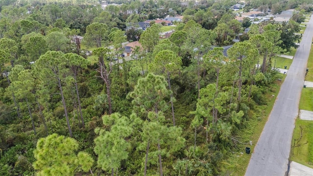 Sunburst Ave, North Port, FL 34286 - photo 4