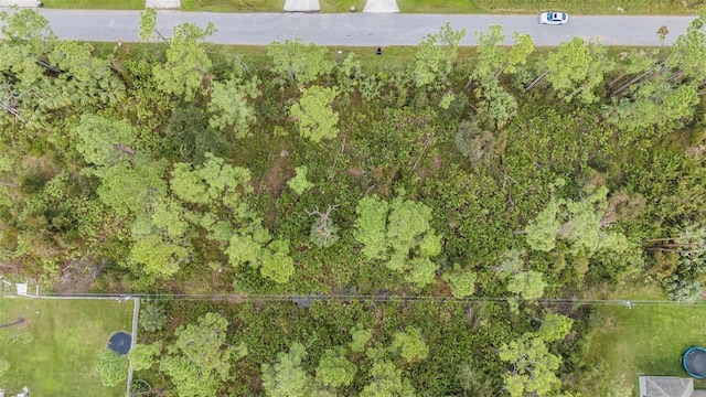 Sunburst Ave, North Port, FL 34286 - photo 20