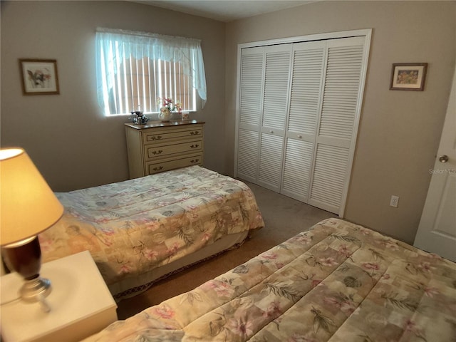 bedroom featuring carpet and a closet