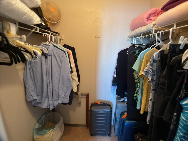 spacious closet with carpet