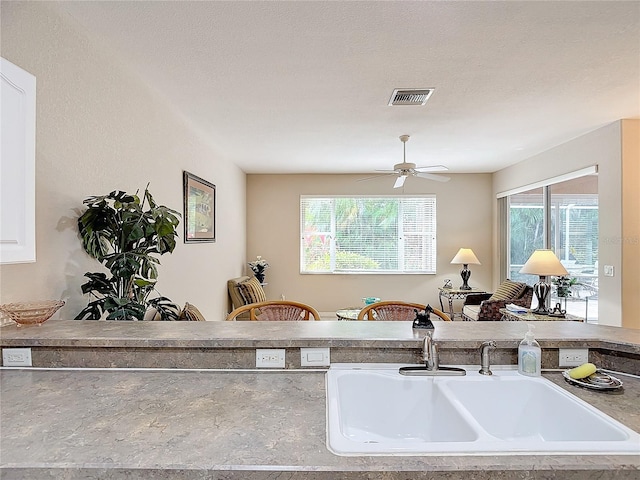 kitchen with ceiling fan, sink, and a wealth of natural light