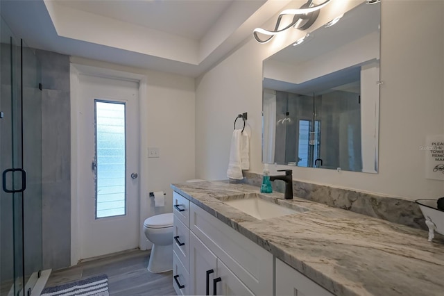 bathroom featuring toilet, a shower with shower door, wood-type flooring, a raised ceiling, and vanity