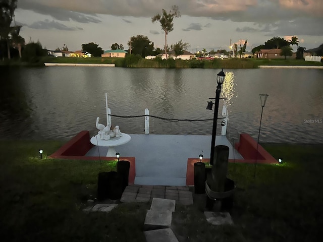 dock area with a water view