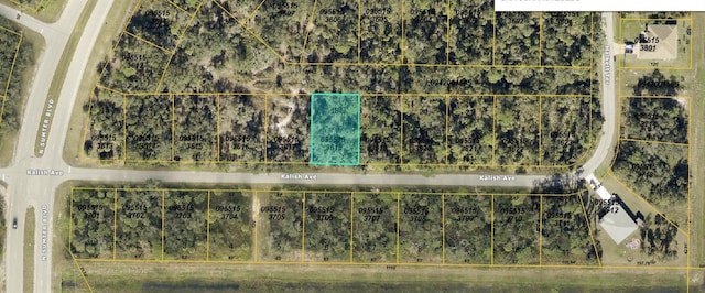 Kalish Ave, North Port FL, 34286 land for sale