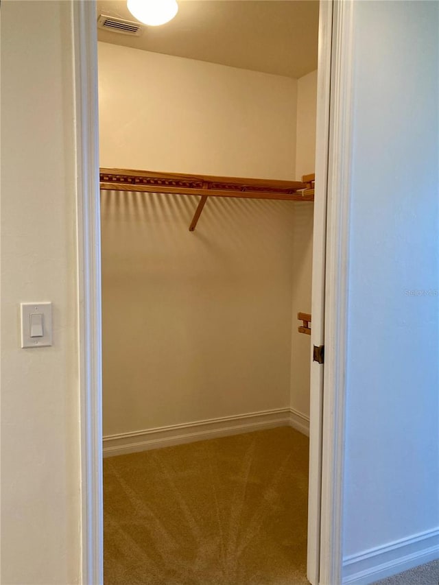 spacious closet with carpet floors