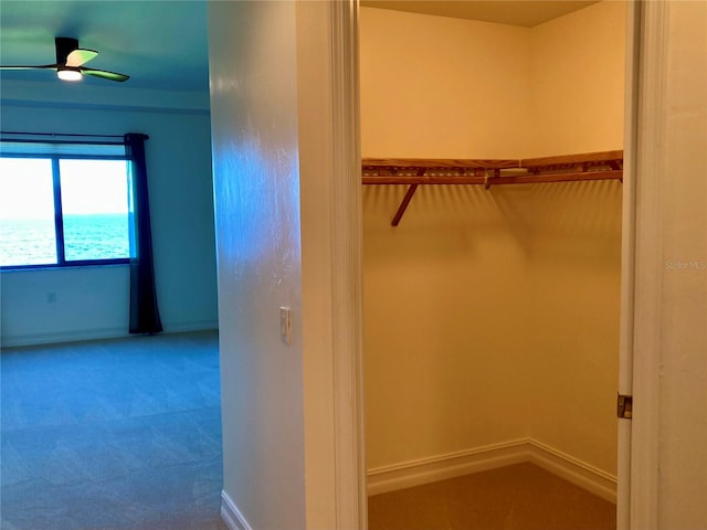 spacious closet featuring carpet and ceiling fan