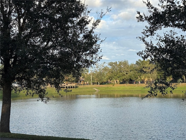 property view of water