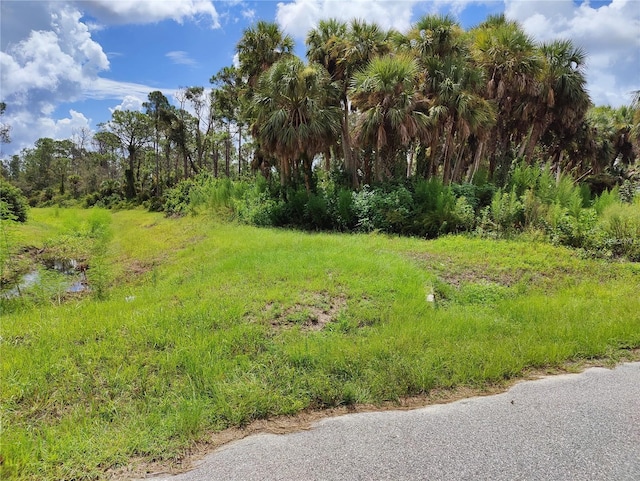 Listing photo 3 for Raven St, North Port FL 34286