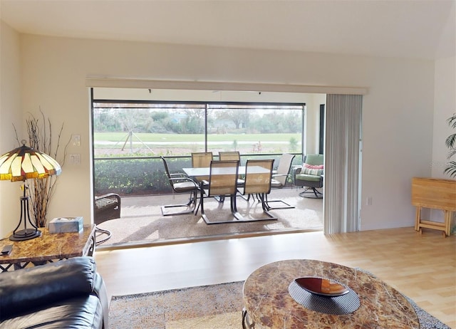 dining room featuring wood-type flooring