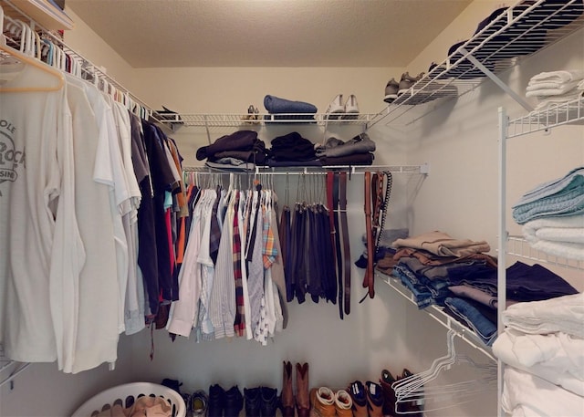 view of spacious closet