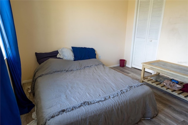 bedroom with a closet and wood-type flooring