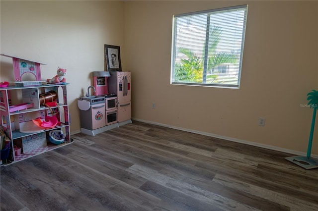 game room featuring hardwood / wood-style floors