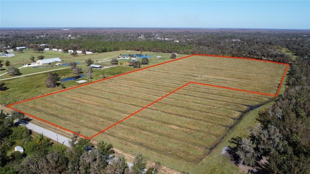 SW Kissimmee Rd, Arcadia, FL 34269 - photo 2