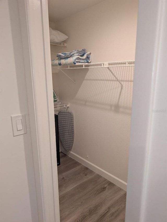 walk in closet with wood-type flooring