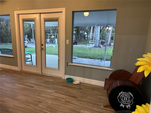 doorway with french doors, hardwood / wood-style floors, and a wealth of natural light