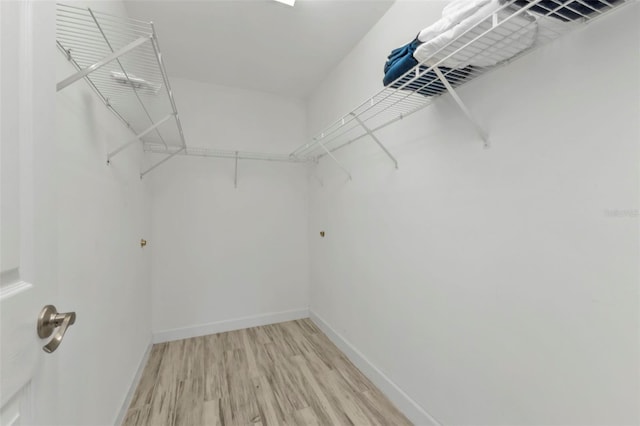 spacious closet with light wood-type flooring