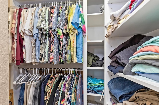 view of walk in closet