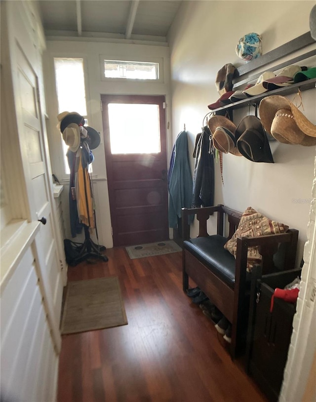 mudroom featuring dark hardwood / wood-style floors