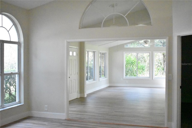 entrance foyer featuring light wood-type flooring and ceiling fan