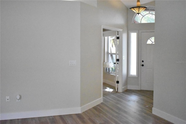 entrance foyer with lofted ceiling and dark hardwood / wood-style floors