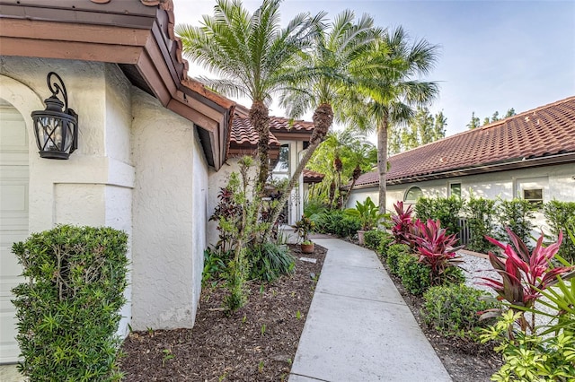 956 Harbor Town Dr, Venice, FL 34292 - view of home's exterior featuring stucco siding and a tiled roof