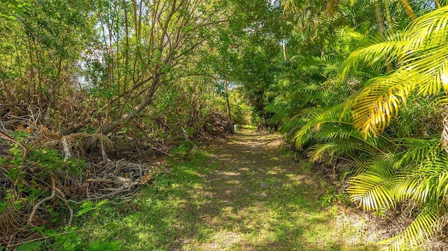 22465 Vale Ave, Punta Gorda, FL 33980 - photo 40