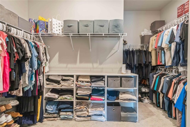 walk in closet featuring light colored carpet