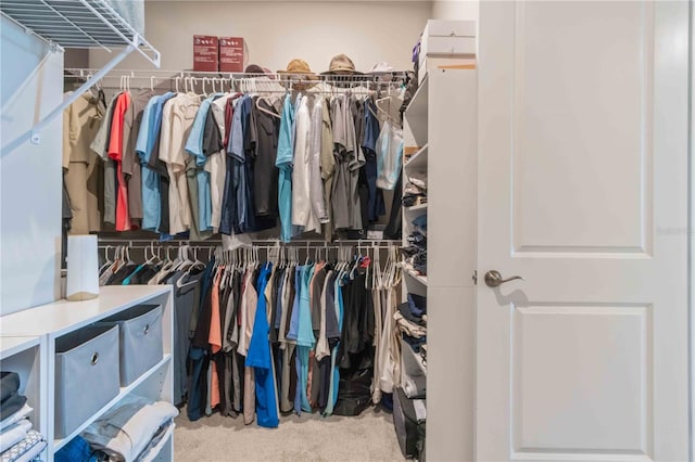 walk in closet with light carpet