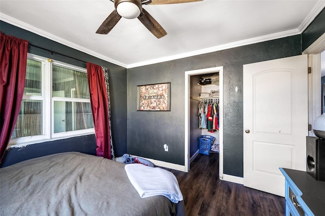 bedroom with a spacious closet, a closet, ceiling fan, ornamental molding, and dark hardwood / wood-style floors