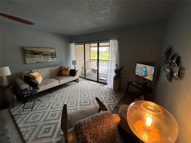 living room featuring a textured ceiling