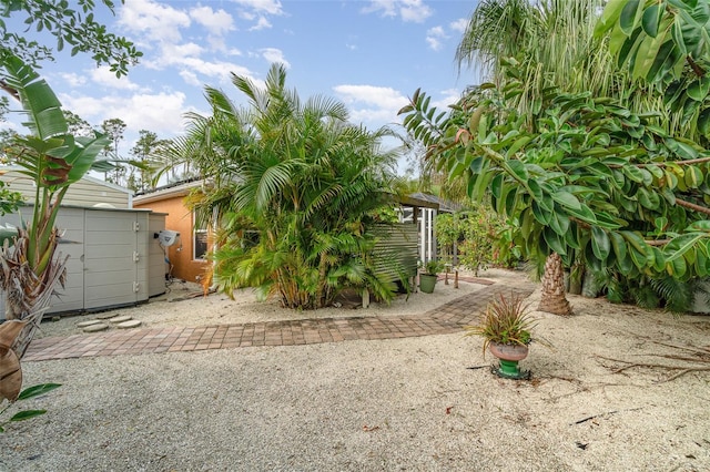 view of yard with a patio