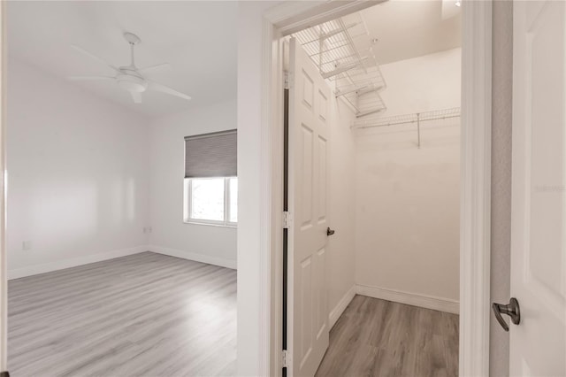 spacious closet with ceiling fan and light hardwood / wood-style flooring