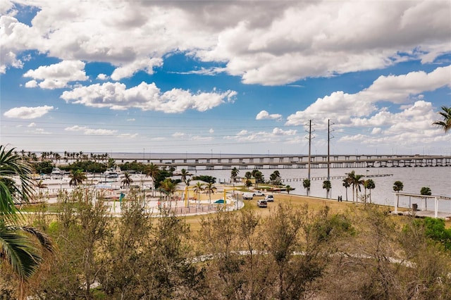 birds eye view of property featuring a water view