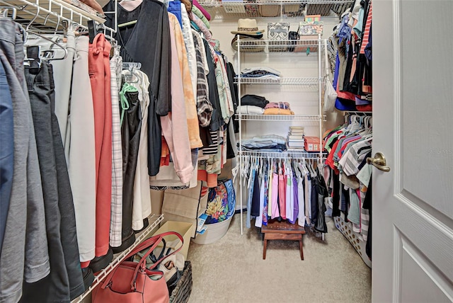 spacious closet with carpet