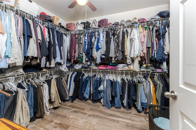 spacious closet featuring hardwood / wood-style floors and ceiling fan