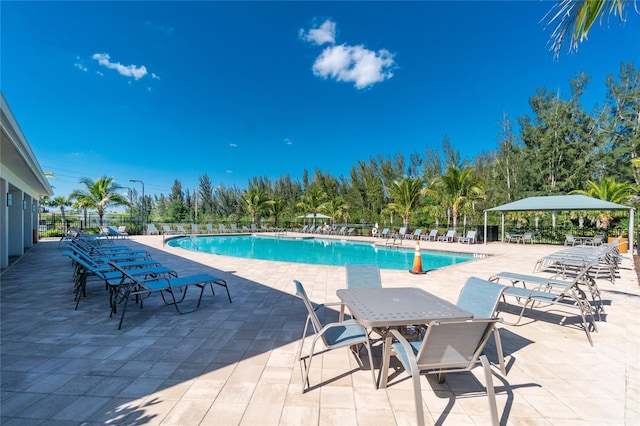 view of swimming pool with a patio