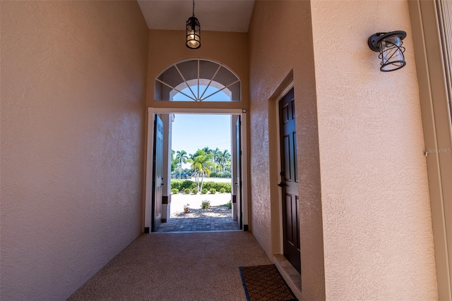 doorway featuring carpet