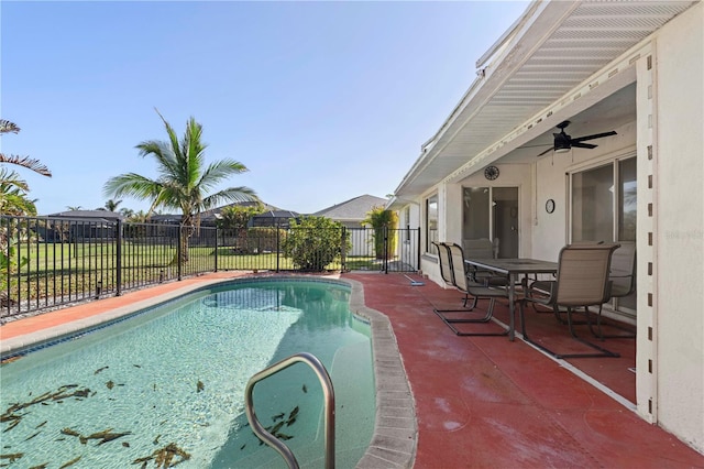 view of swimming pool with a patio area and ceiling fan