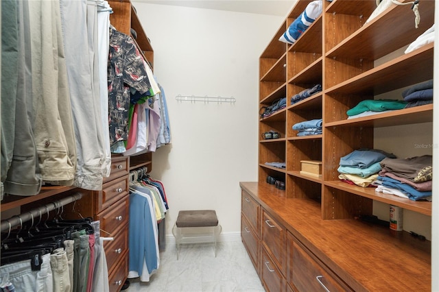 view of spacious closet